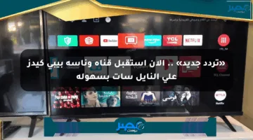 «تردد جديد» .. الآن استقبل قناة وناسة بيبي كيدز على النايل سات بسهولة